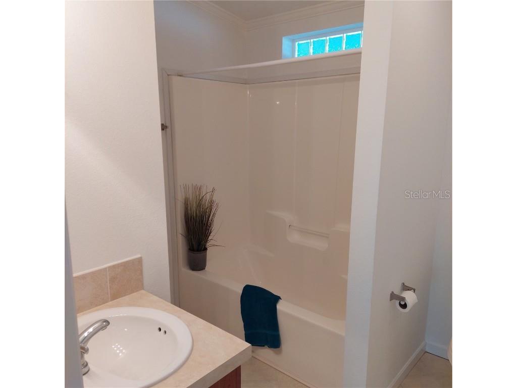 1760 Dorothy Boulevard Lutz FL 33558 TB8332520 image11