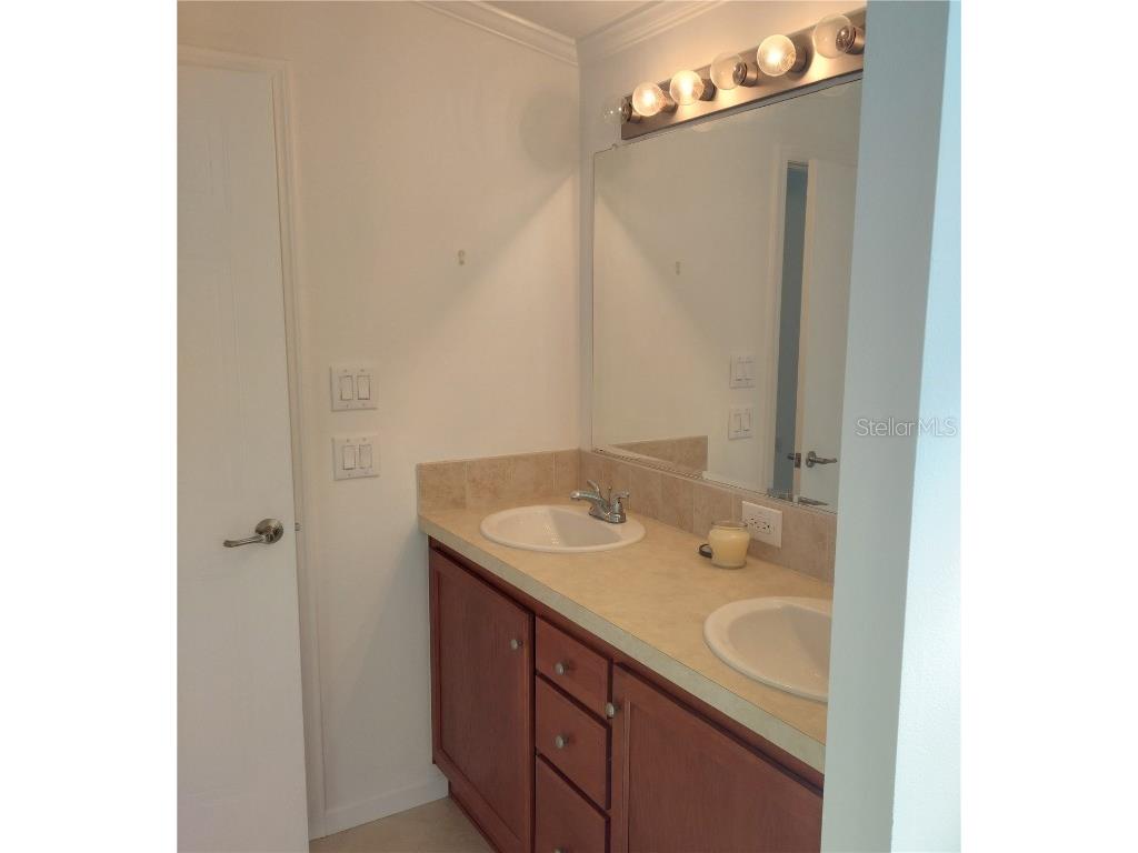 1760 Dorothy Boulevard Lutz FL 33558 TB8332520 image18