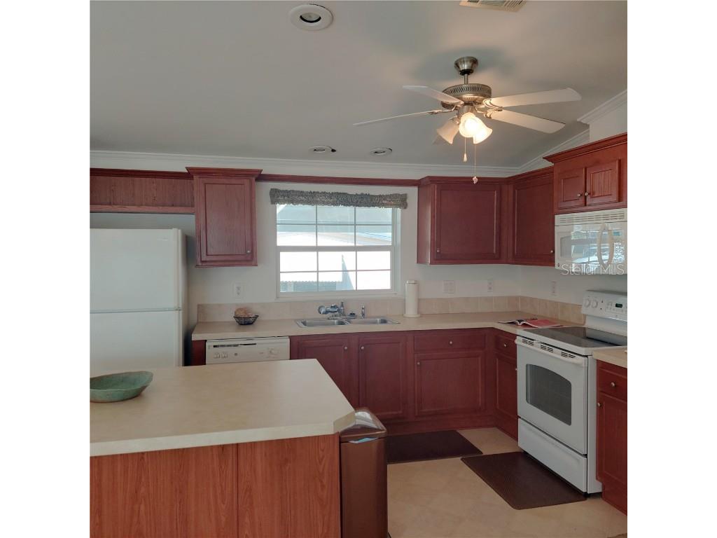 1760 Dorothy Boulevard Lutz FL 33558 TB8332520 image8