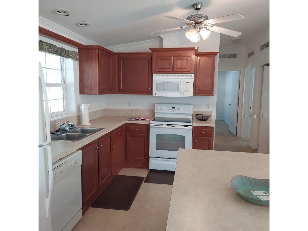 1760 Dorothy Boulevard Lutz FL 33558 TB8332520 image9