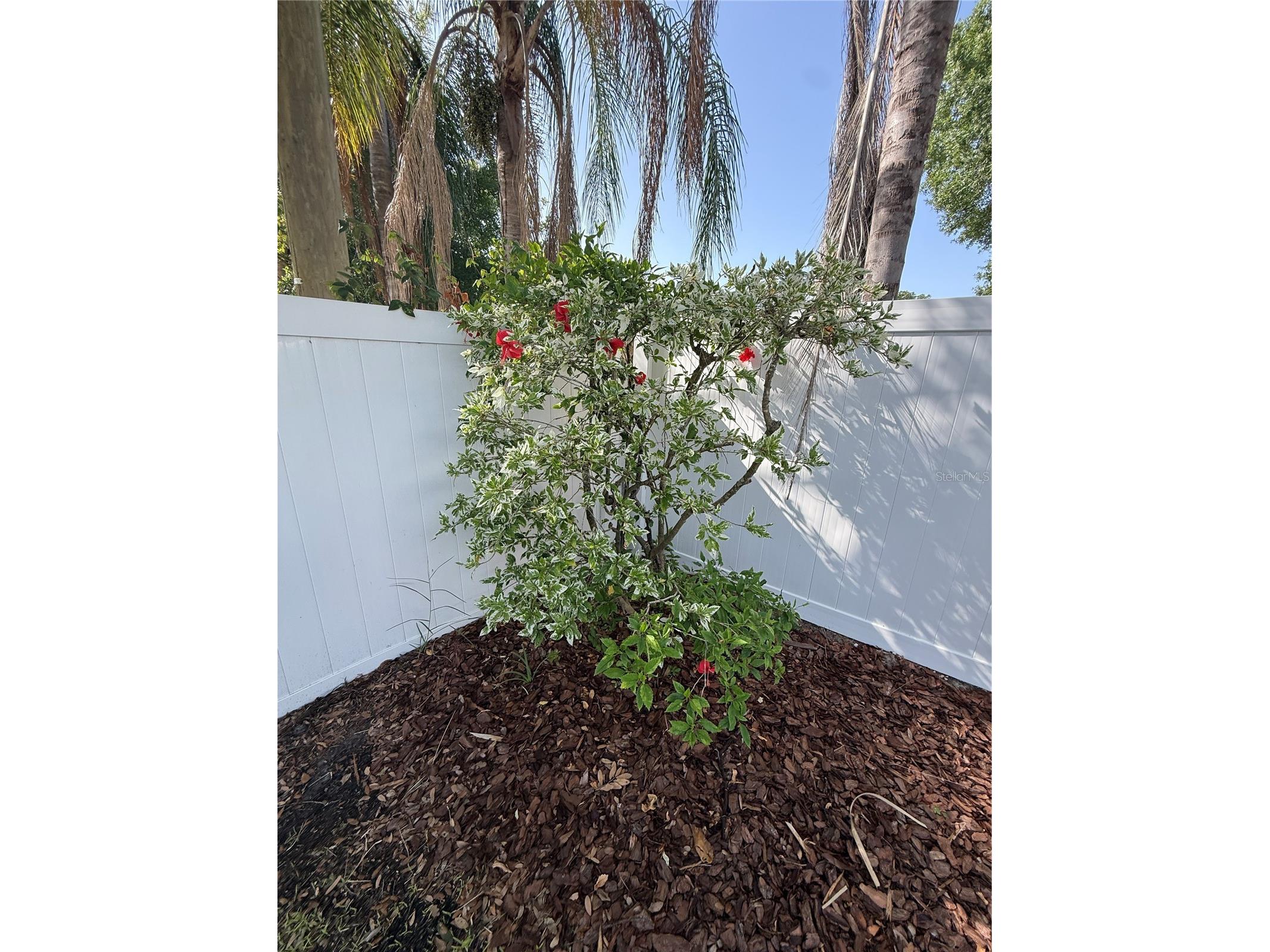 1760 Georgia Avenue NE Saint Petersburg FL 33703 TB8521569 image14