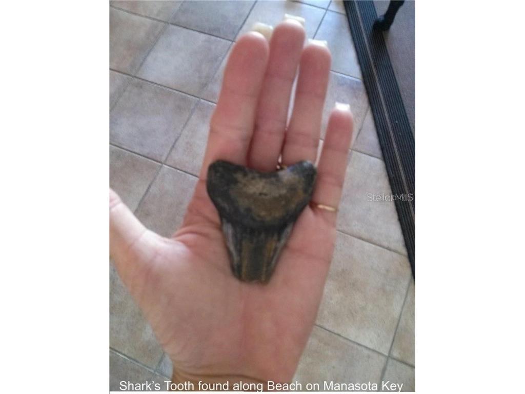 1760 Gulf Boulevard #601 Englewood FL 34223 - GULF OF MEXICO LEMON BAY D6101620 image40