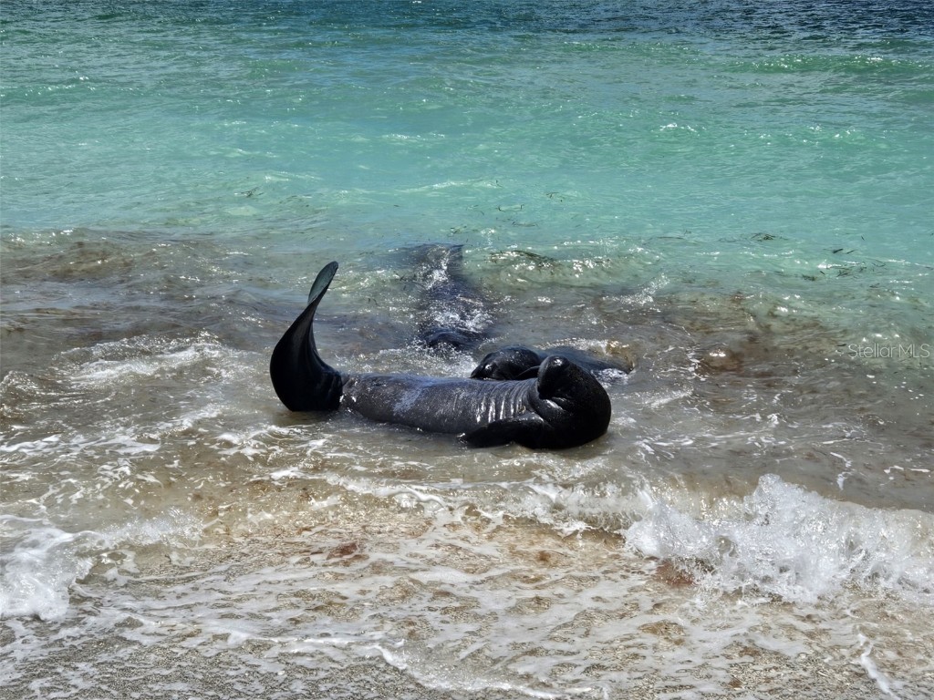 1760 Gulf Boulevard #601 Englewood FL 34223 - GULF OF MEXICO LEMON BAY D6101620 image43