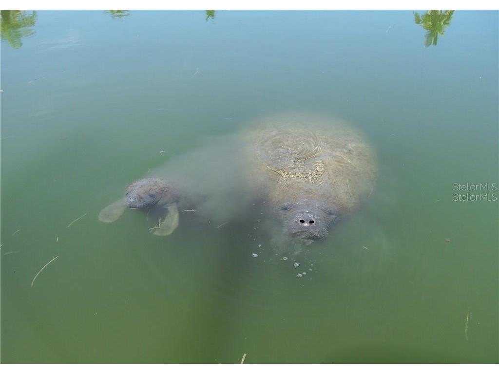 1760 Gulf Boulevard #601 Englewood FL 34223 - GULF OF MEXICO LEMON BAY D6101620 image44