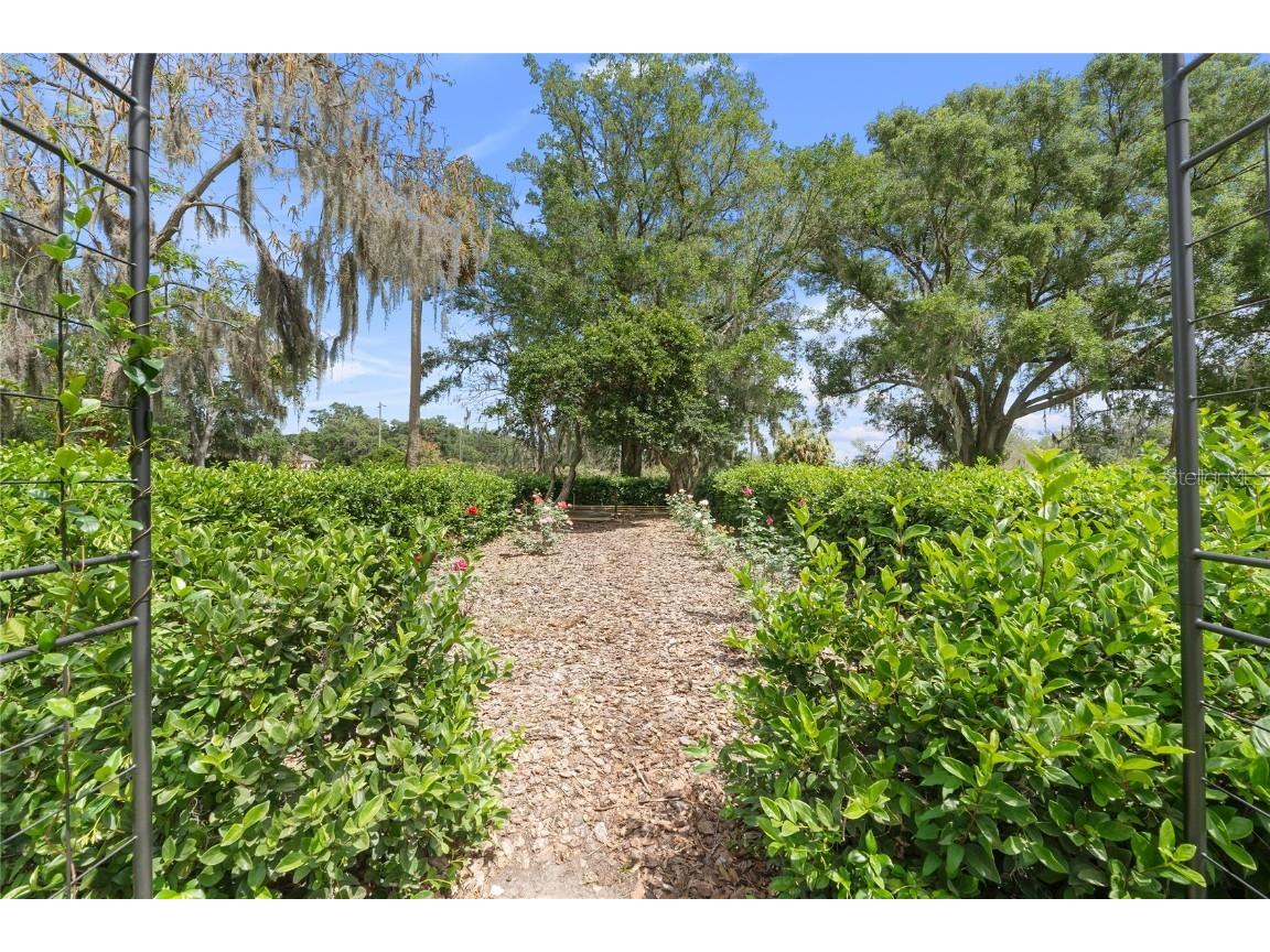 1760 Old Bartow Eagle Lake Road Bartow FL 33830 L4951970 image69