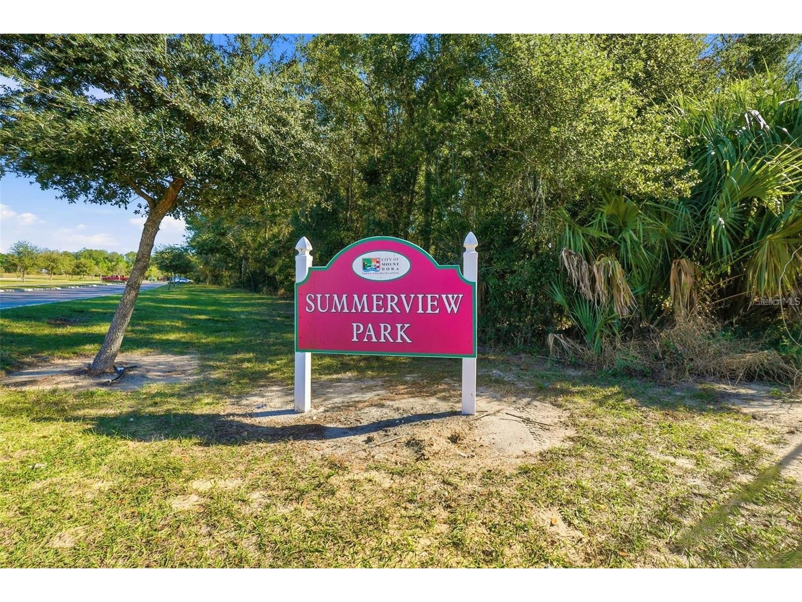 1760 Point O Woods Court Mount Dora FL 32757 G5109226 image21