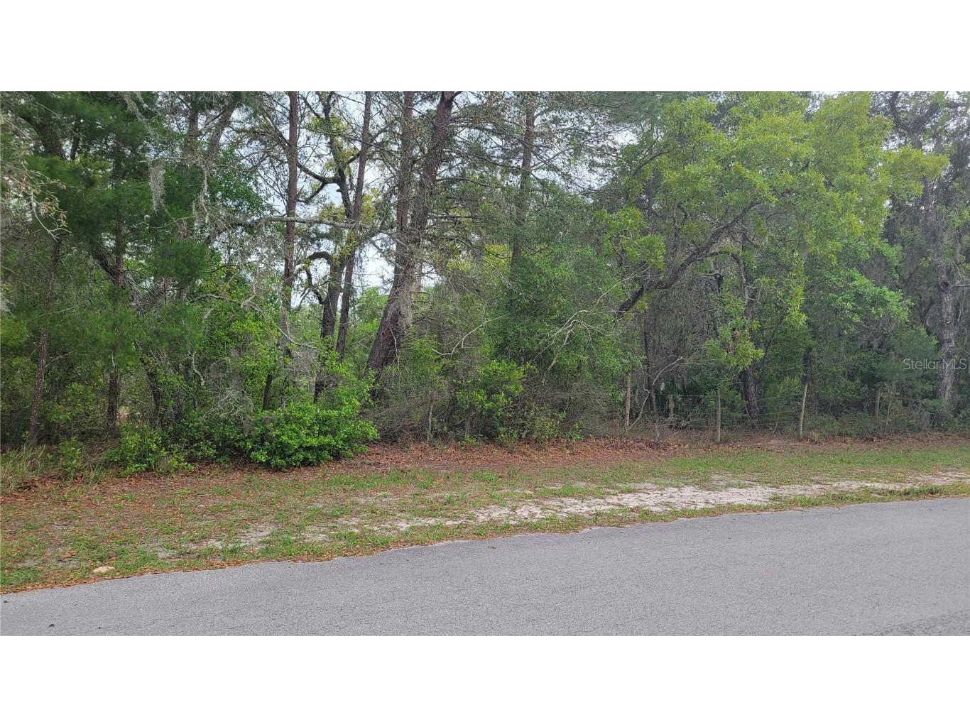 1760 Rabbit Drive New Port Richey FL 34655 U8233985 image1