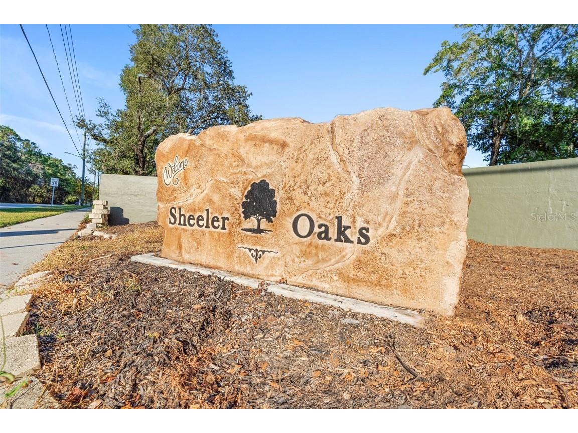 1760 Saddleback Ridge Road Apopka FL 32703 V4946011 image33