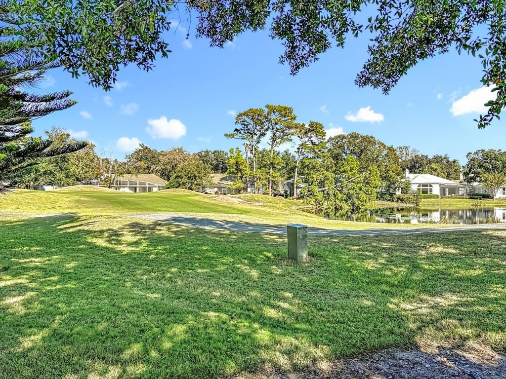 1760 Stafford Springs Boulevard Mount Dora FL 32757 O6357581 image53