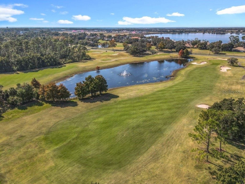 1760 Stafford Springs Boulevard Mount Dora FL 32757 O6357581 image67