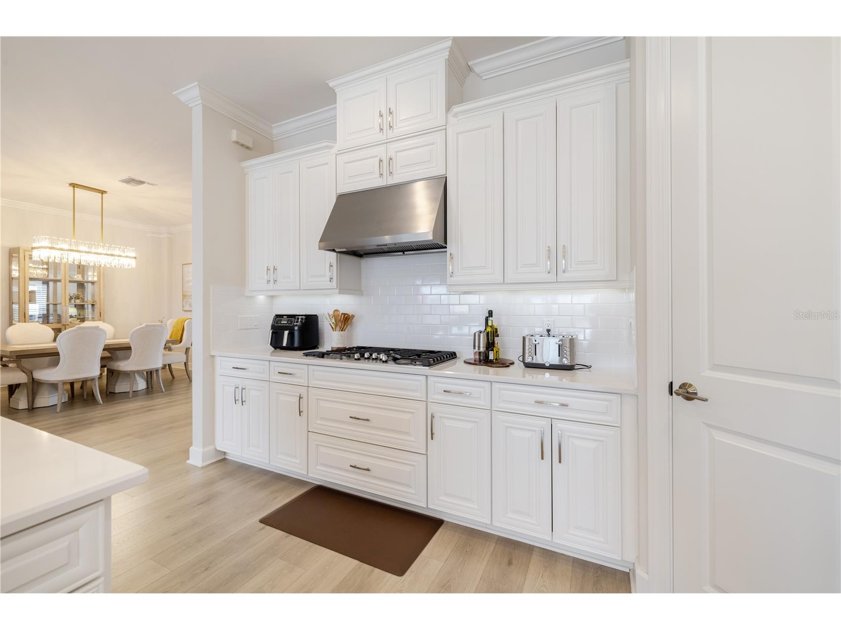 17602 Terracina Drive Fort Myers FL 33913 - Lake Como TB8487065 image17