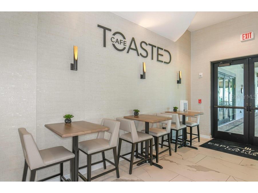 17602 Terracina Drive Fort Myers FL 33913 - Lake Como TB8487065 image74