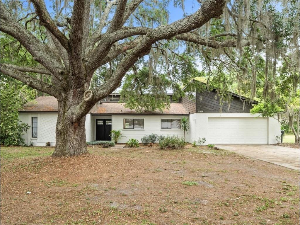 17604 Willow Creek Boulevard Lutz FL 33549 - POND T3514694 image1