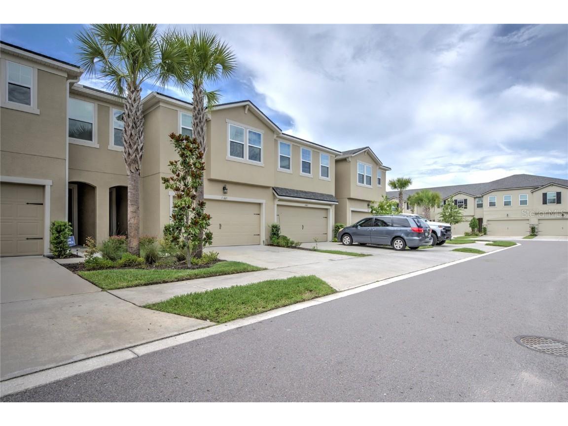 17605 Ledger Line Lane Lutz FL 33558 O6050917 image1