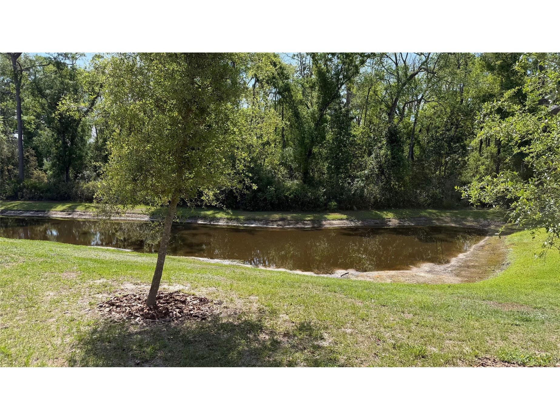 17608 Nectar Flume Drive Land O Lakes FL 34638 TB8495107 image19