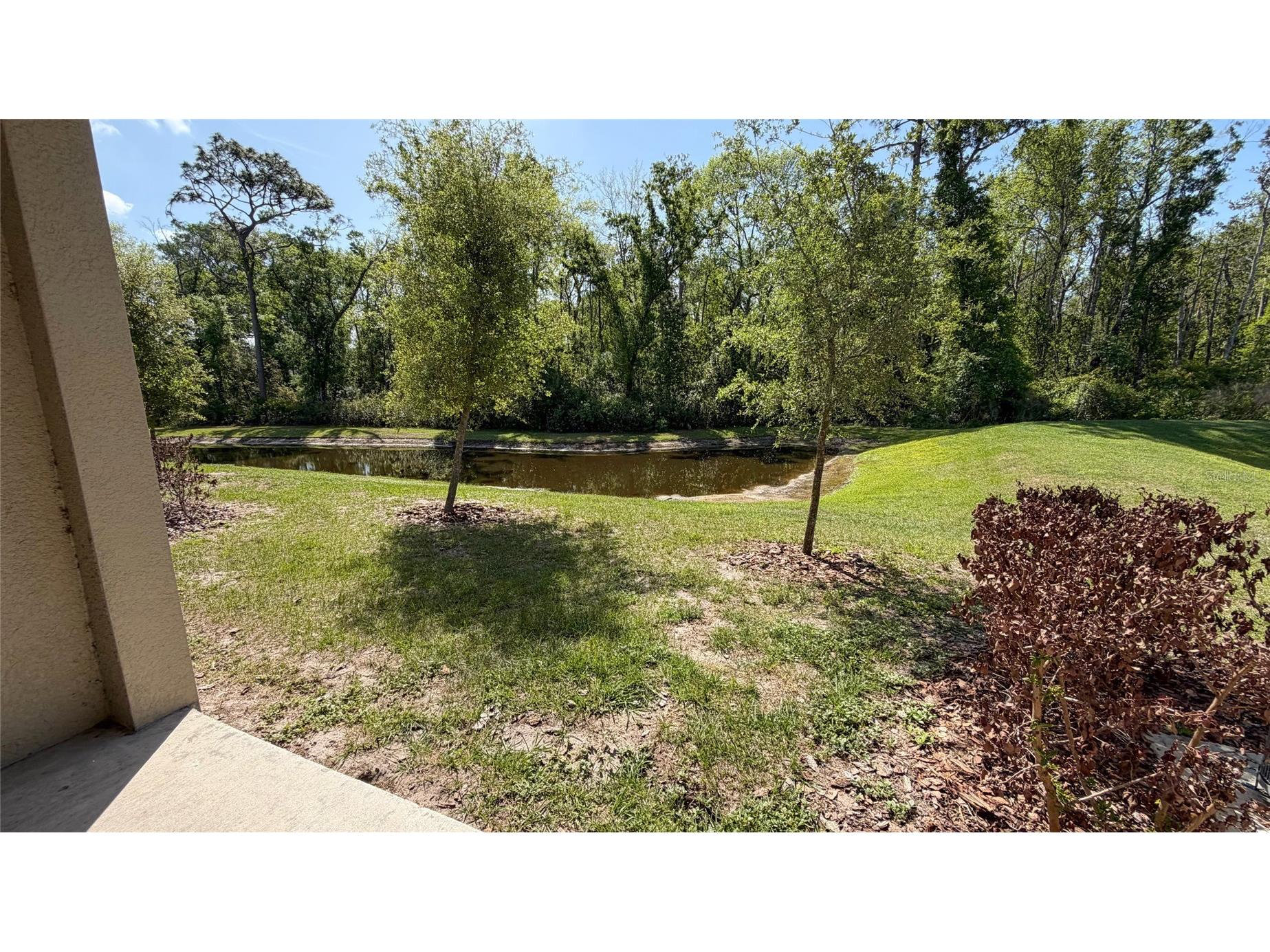 17608 Nectar Flume Drive Land O Lakes FL 34638 TB8495107 image20