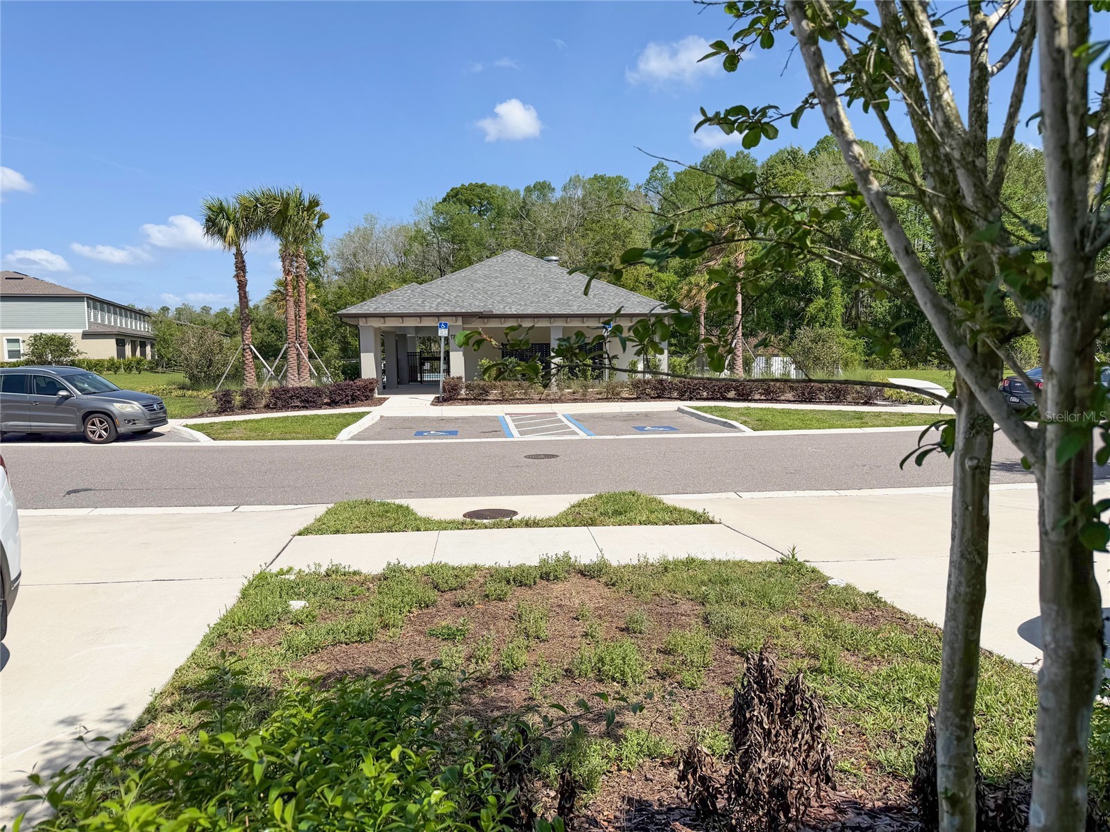 17608 Nectar Flume Drive Land O Lakes FL 34638 TB8495107 image21