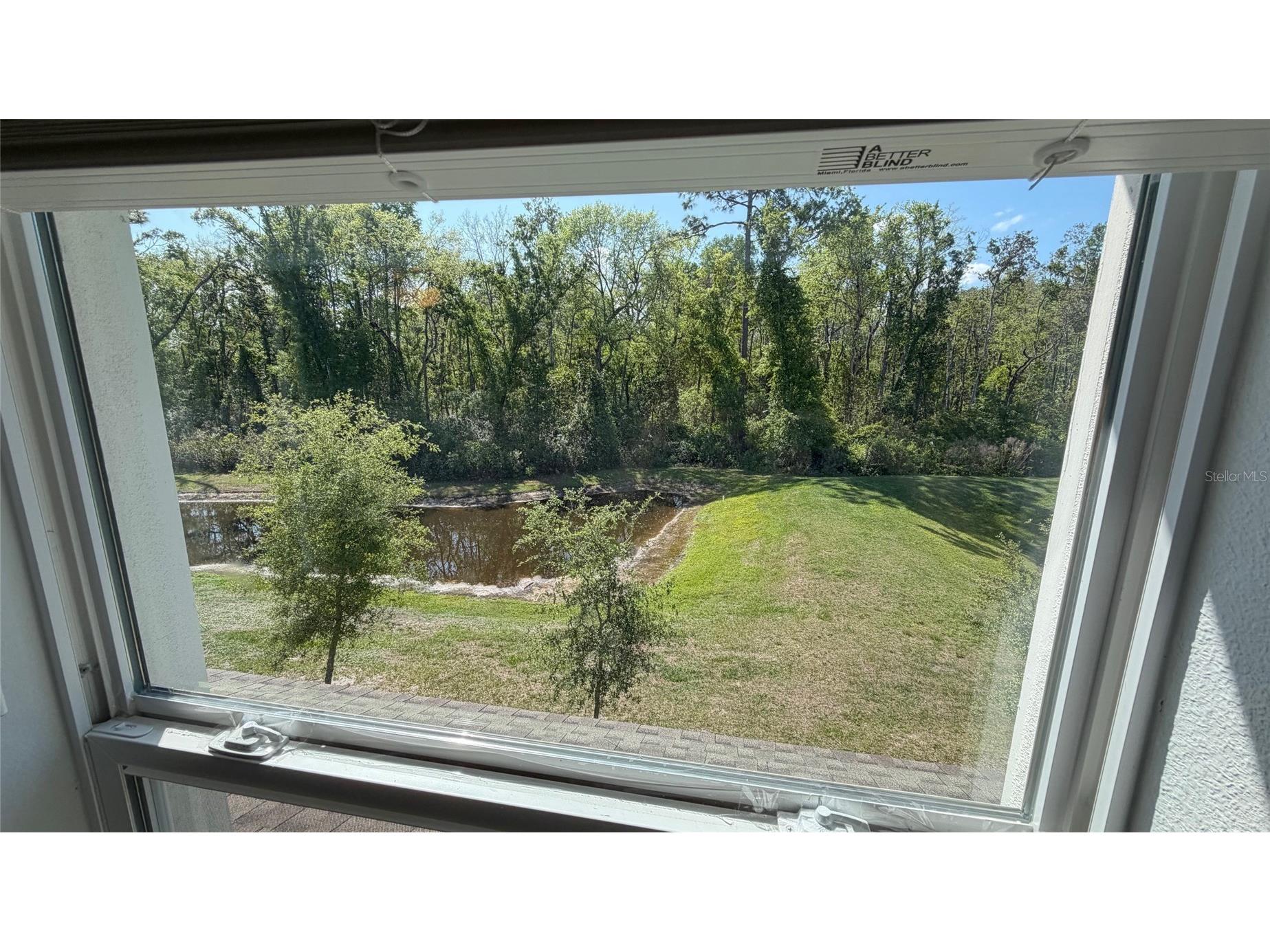 17608 Nectar Flume Drive Land O Lakes FL 34638 TB8495107 image27