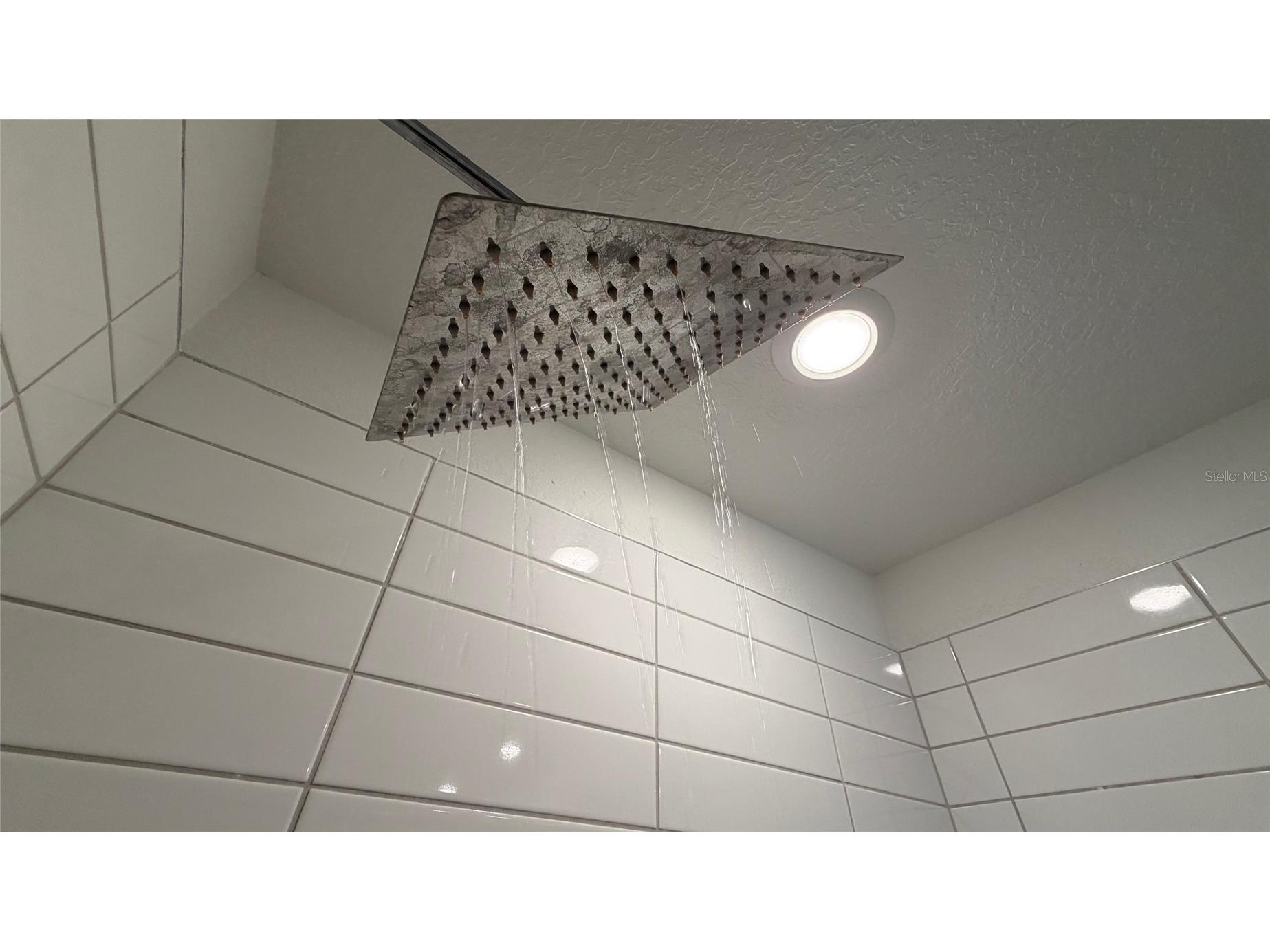 17608 Nectar Flume Drive Land O Lakes FL 34638 TB8495107 image30