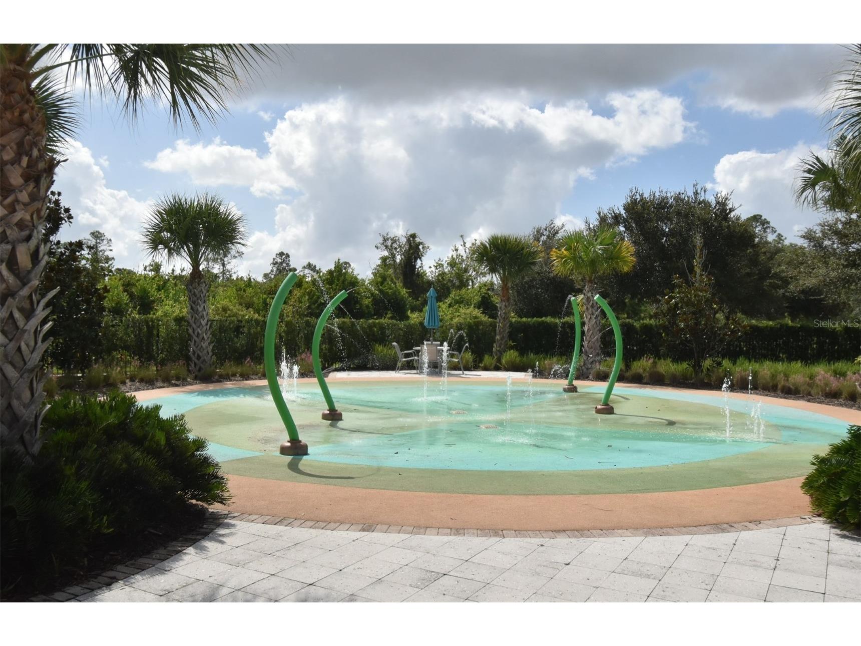 17608 Saw Palmetto Avenue Clermont FL 34714 O6352746 image45