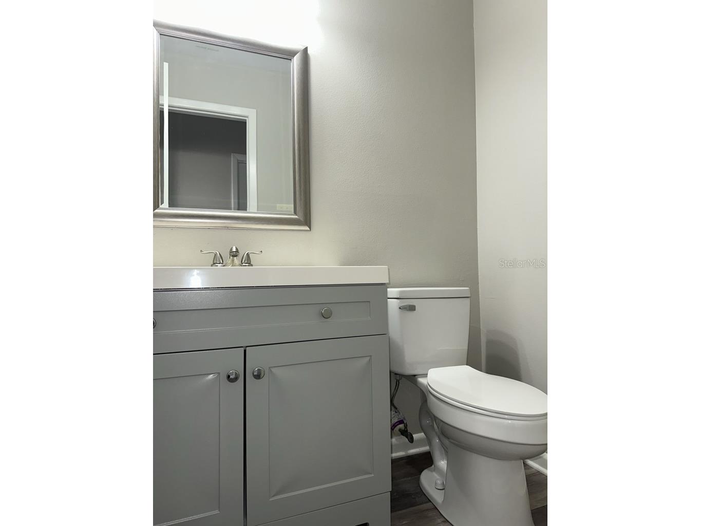 17608 Shadyside Circle Lutz FL 33549 TB8527785 image11