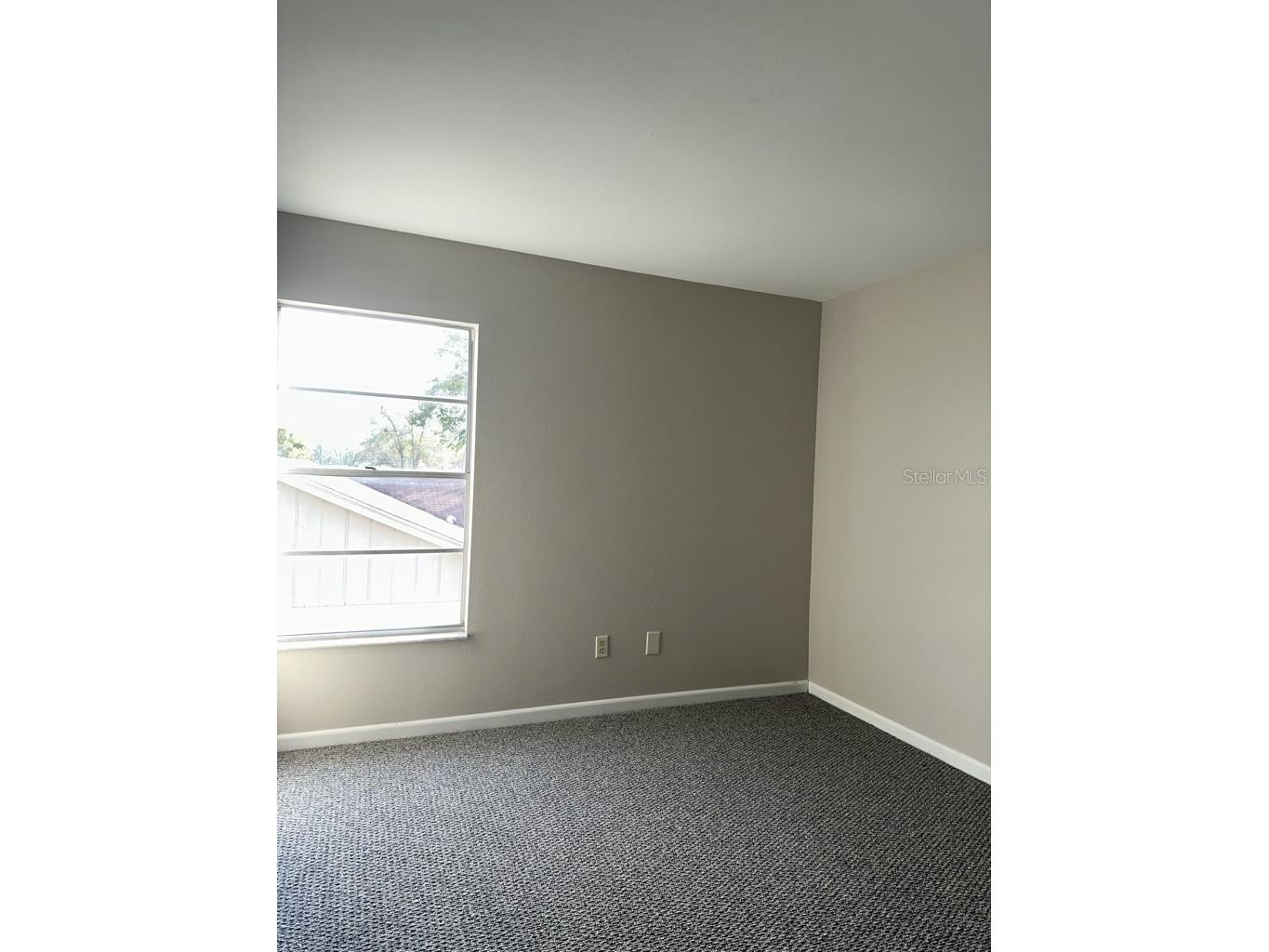 17608 Shadyside Circle Lutz FL 33549 TB8527785 image13