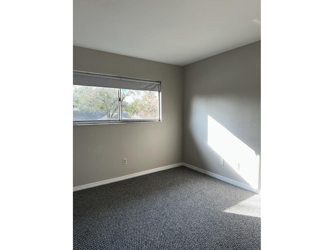 17608 Shadyside Circle Lutz FL 33549 TB8527785 image18