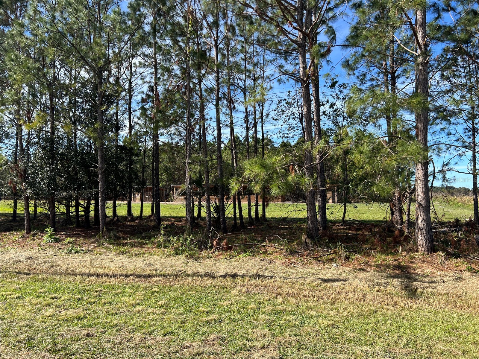 17609 Bledsoe Loop Lithia FL 33547 TB8337302 image1