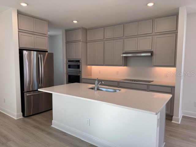 17609 Japonica Bloom Drive Winter Garden FL 34787 O6380304 image3