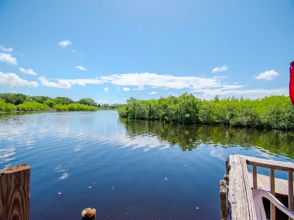 1761 Beckett Way Tarpon Springs FL 34689 - ANCLOTE RIVER TB8429981 image43