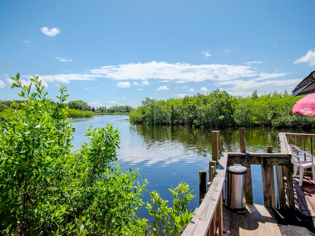 1761 Beckett Way Tarpon Springs FL 34689 - ANCLOTE RIVER TB8429981 image52