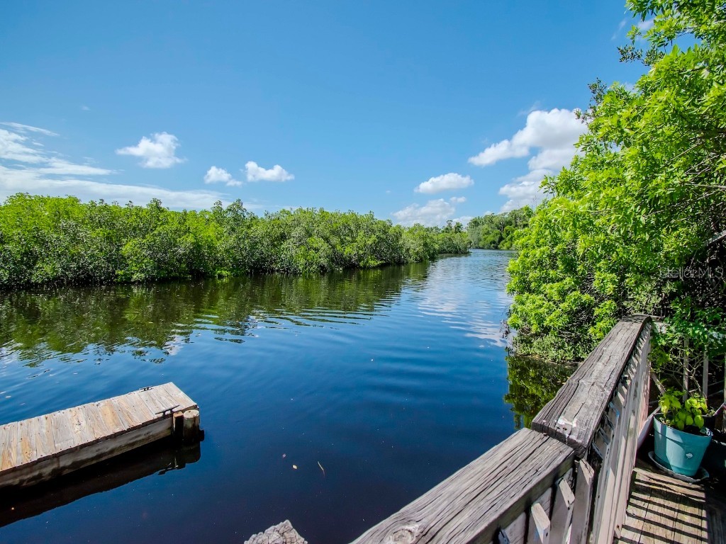 1761 Beckett Way Tarpon Springs FL 34689 - ANCLOTE RIVER TB8429981 image55