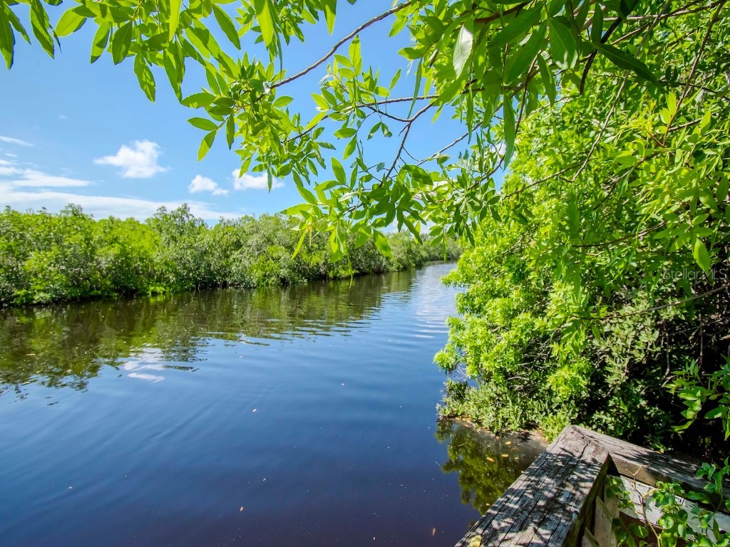 1761 Beckett Way Tarpon Springs FL 34689 - ANCLOTE RIVER TB8429981 image56