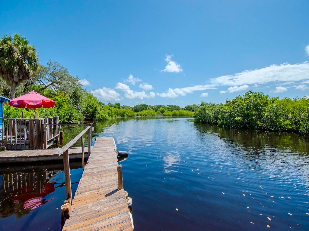 1761 Beckett Way Tarpon Springs FL 34689 - ANCLOTE RIVER TB8429981 image72