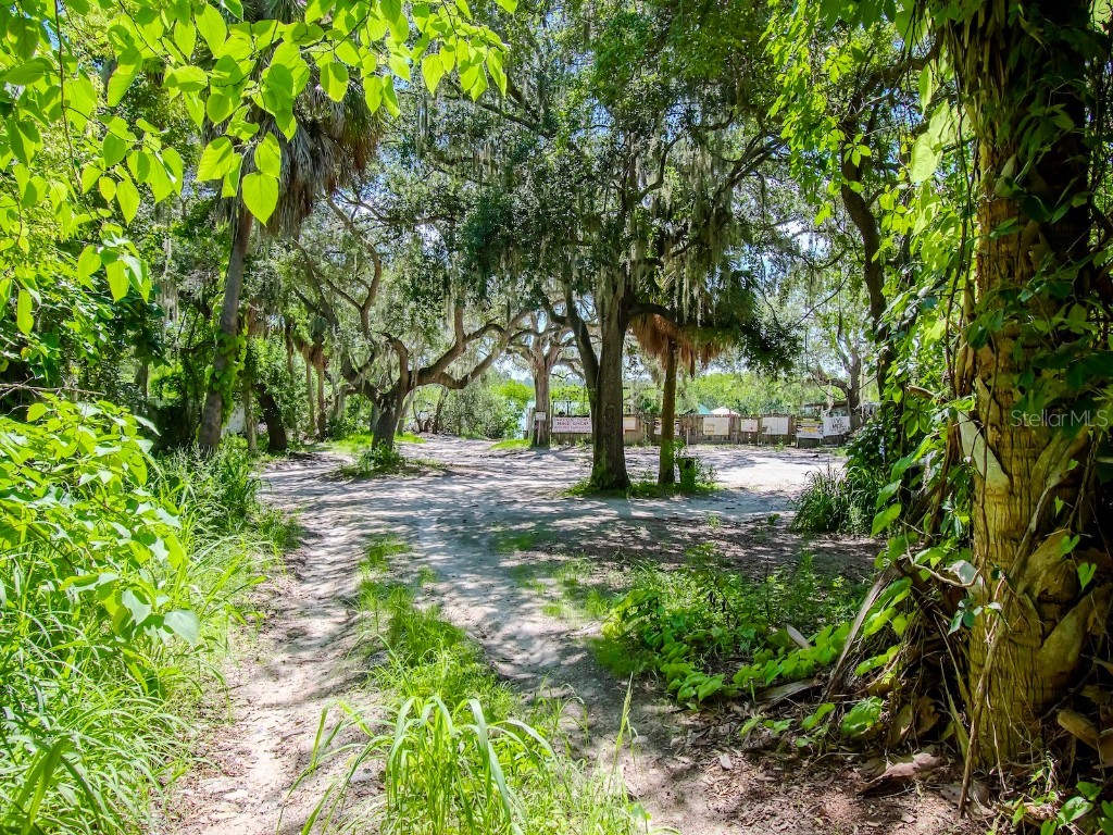 1761 Beckett Way Tarpon Springs FL 34689 - ANCLOTE RIVER TB8429981 image73