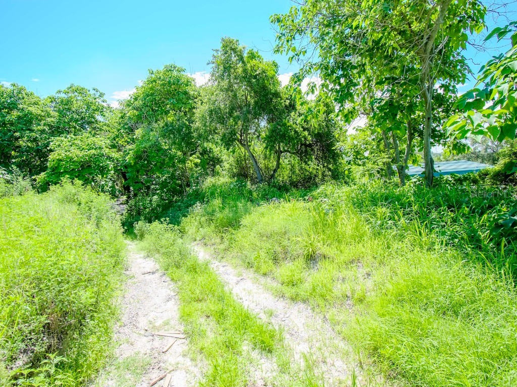 1761 Beckett Way Tarpon Springs FL 34689 - ANCLOTE RIVER TB8429981 image78