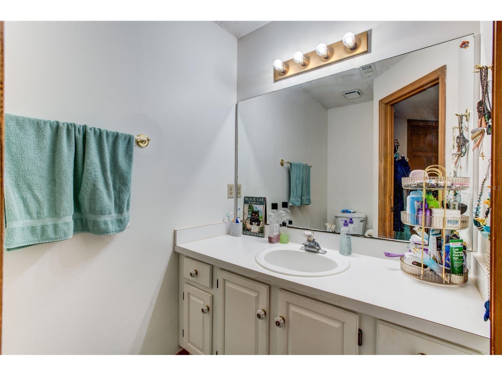 1761 Bent Way Court Orlando FL 32818 O6380623 image11