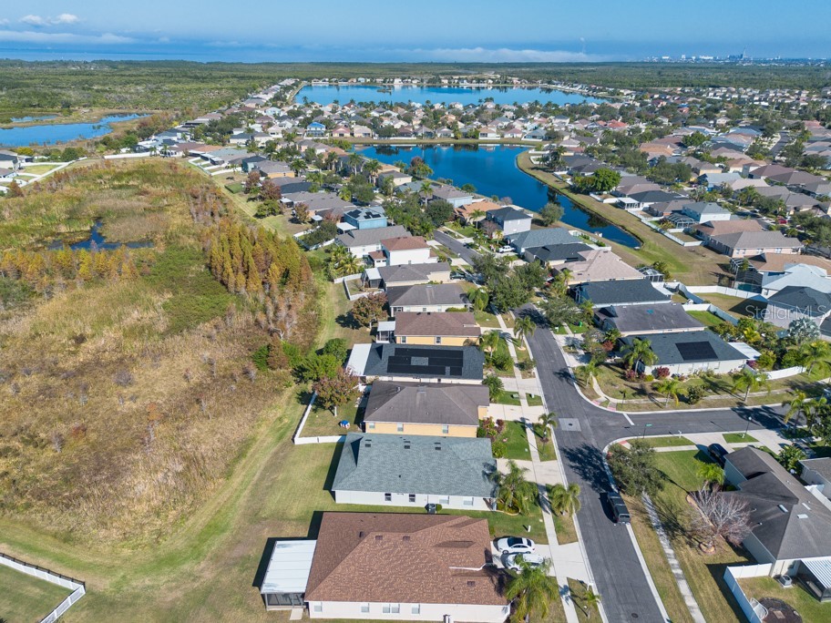 1761 Bonita Bluff Court Ruskin FL 33570 TB8460319 image39