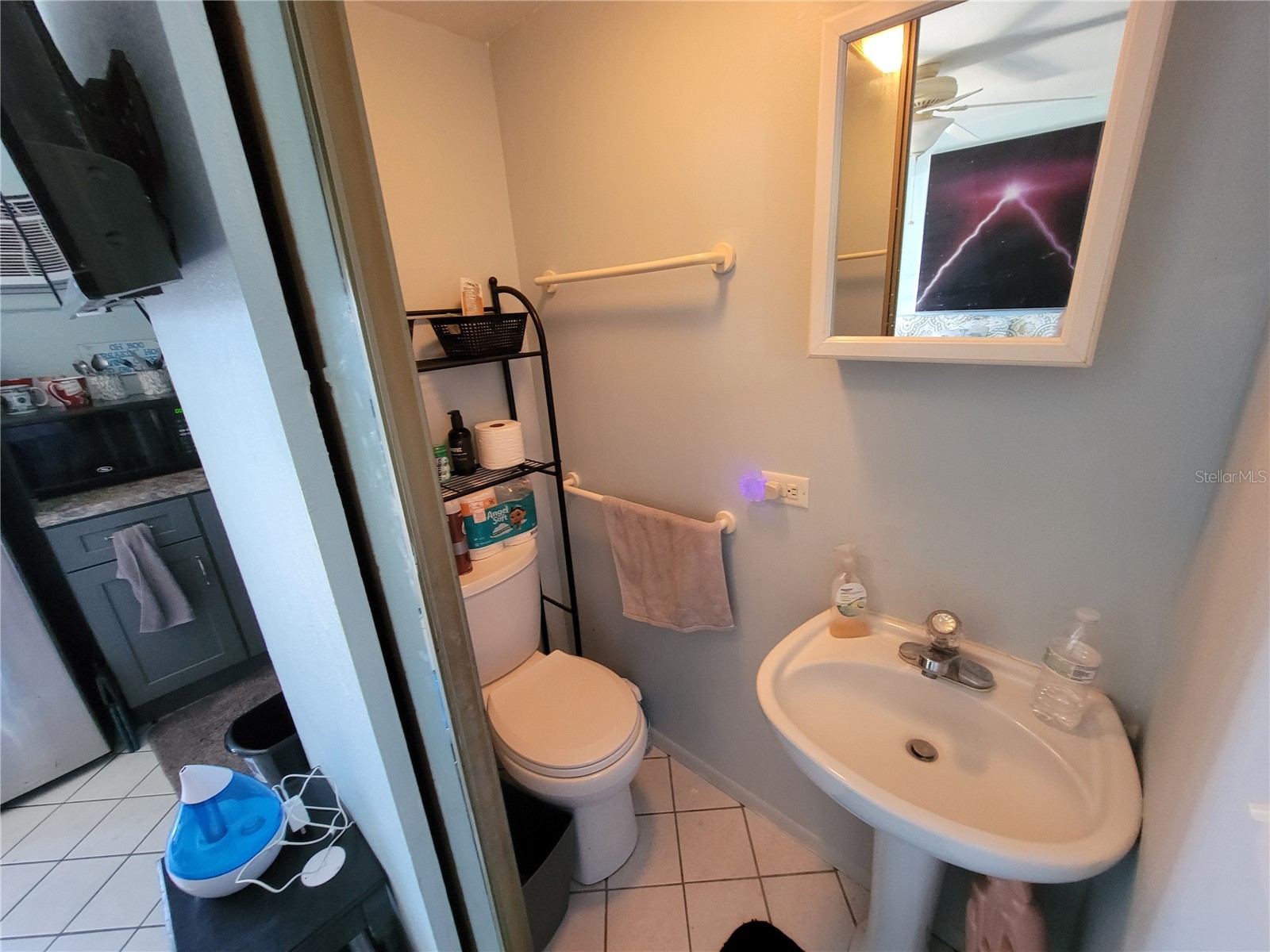 1761 Cupecoy Circle #N-7 Lutz FL 33558 TB8496538 image26