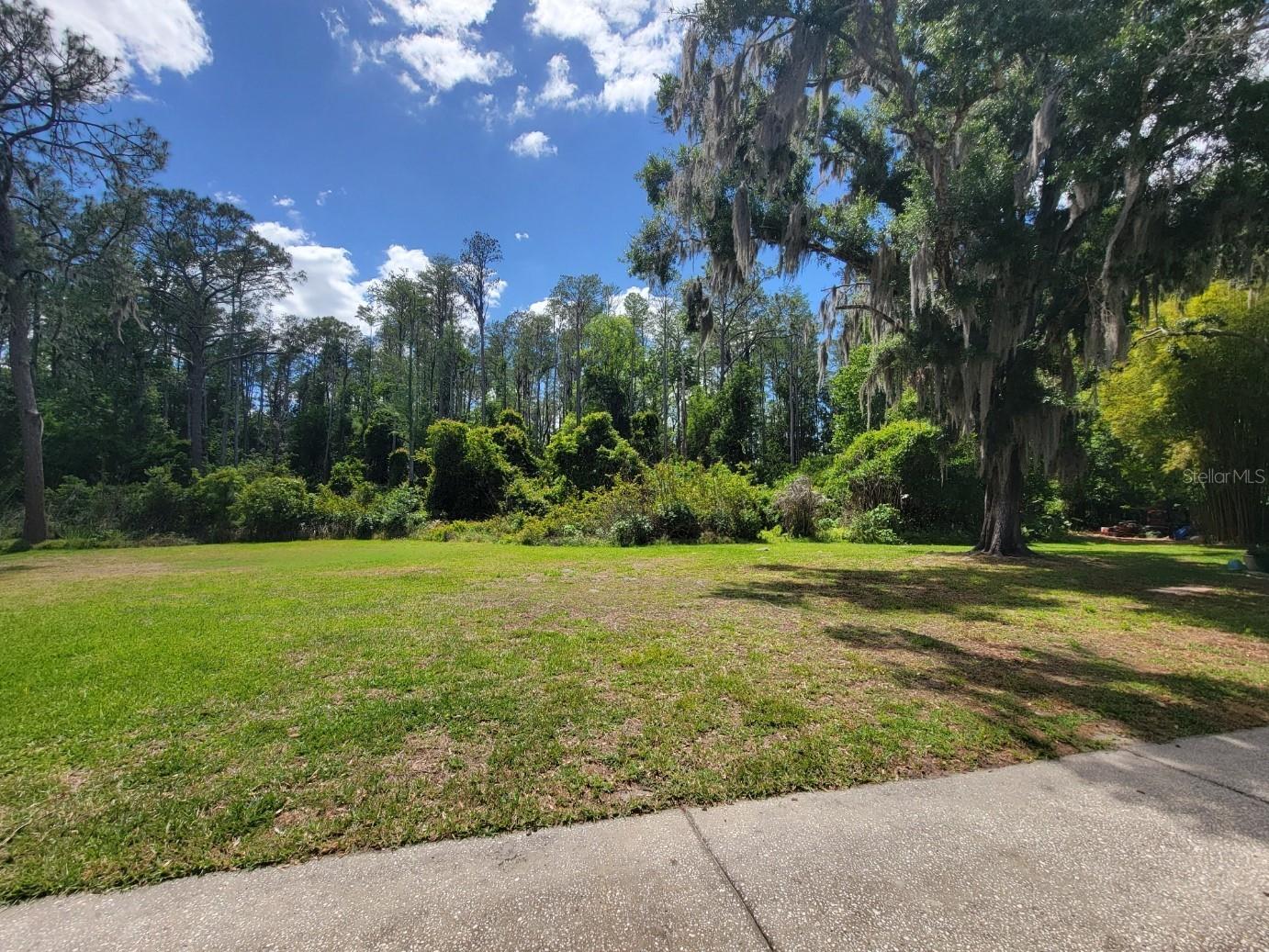 1761 Cupecoy Circle #N-7 Lutz FL 33558 TB8496538 image5