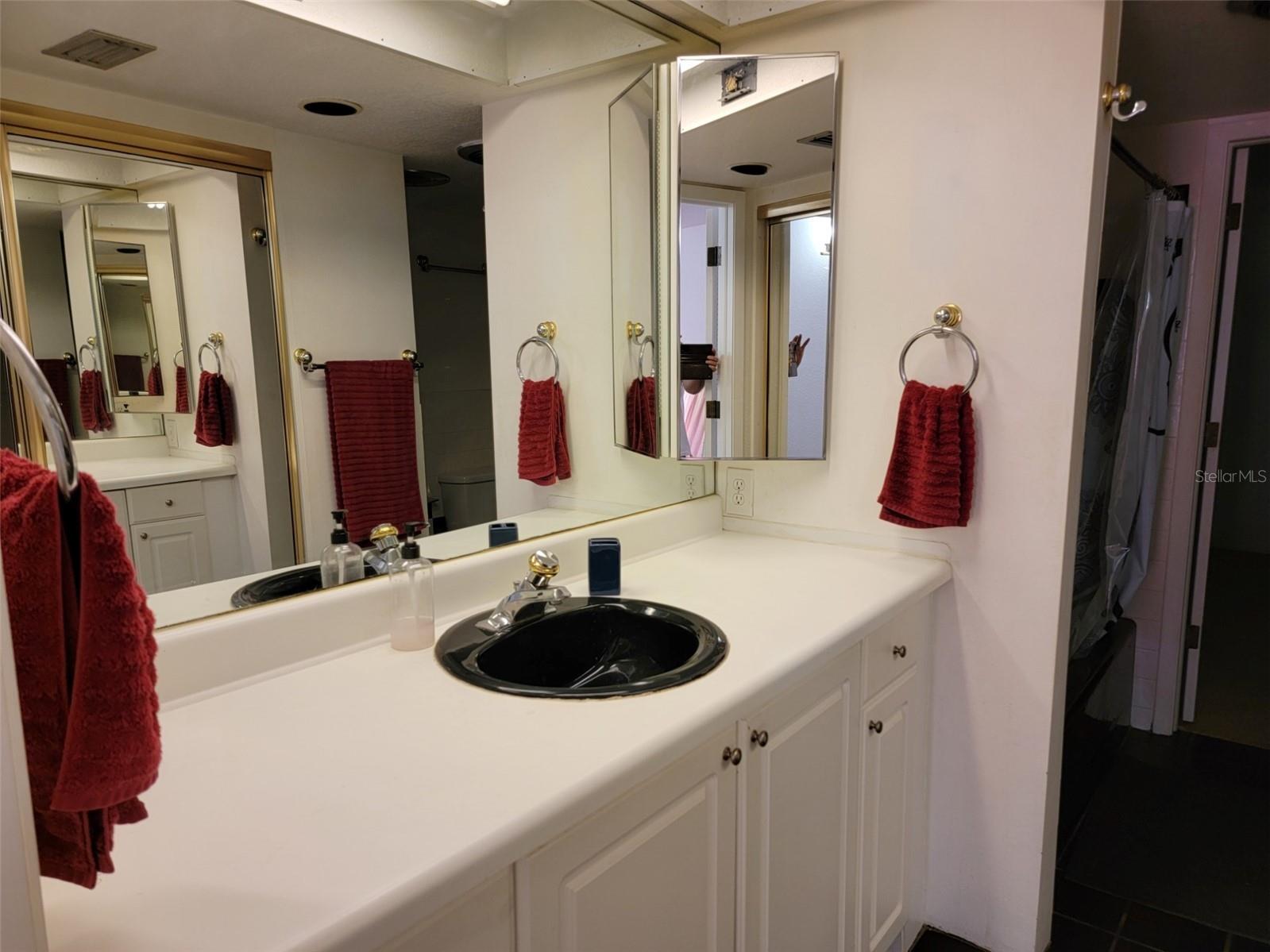 1761 Cupecoy Circle # N-7 Lutz FL 33558 TB8496717 image15