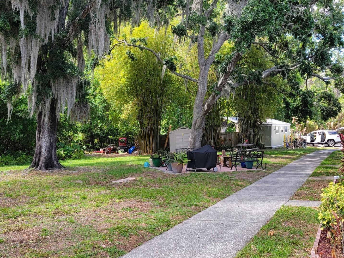 1761 Cupecoy Circle # N-7 Lutz FL 33558 TB8496717 image6