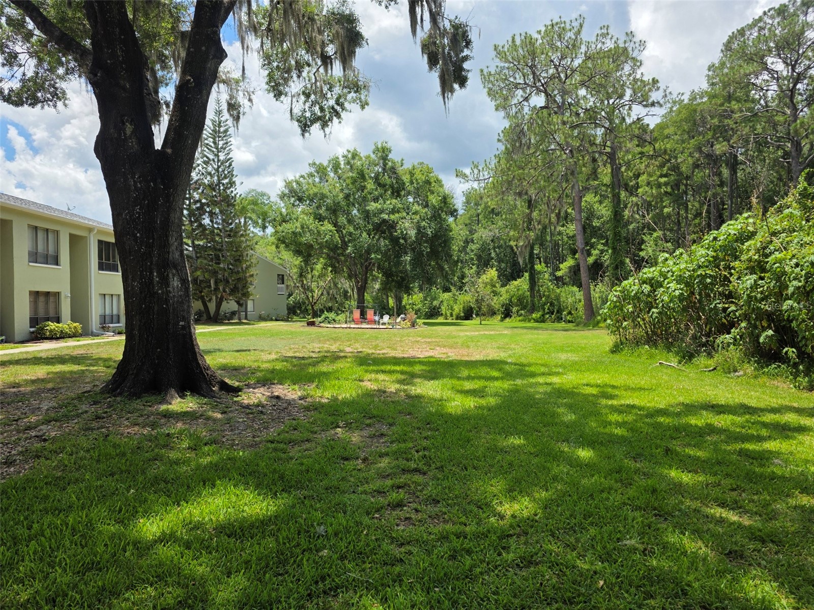 1761 Cupecoy Circle #N4 Lutz FL 33558 W7886601 image47
