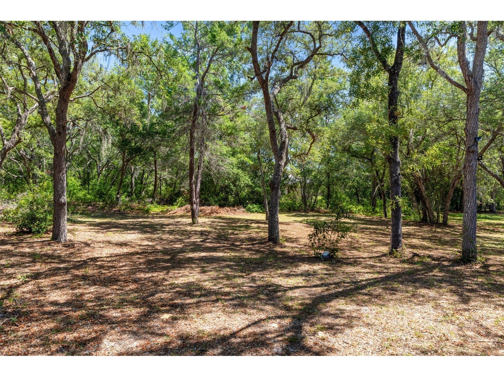 1761 E Cleveland Street Hernando FL 34442 W7885903 image38