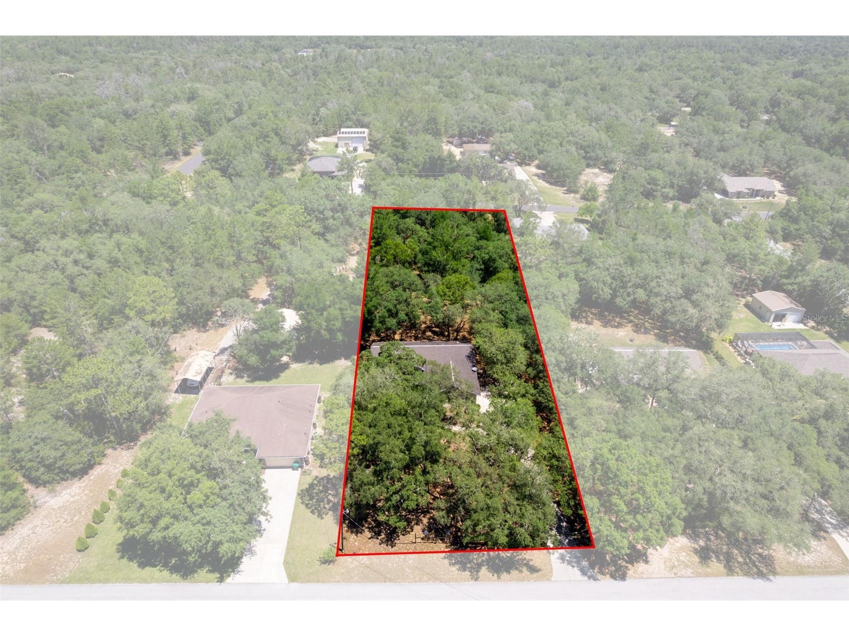 1761 E Cleveland Street Hernando FL 34442 W7885903 image4
