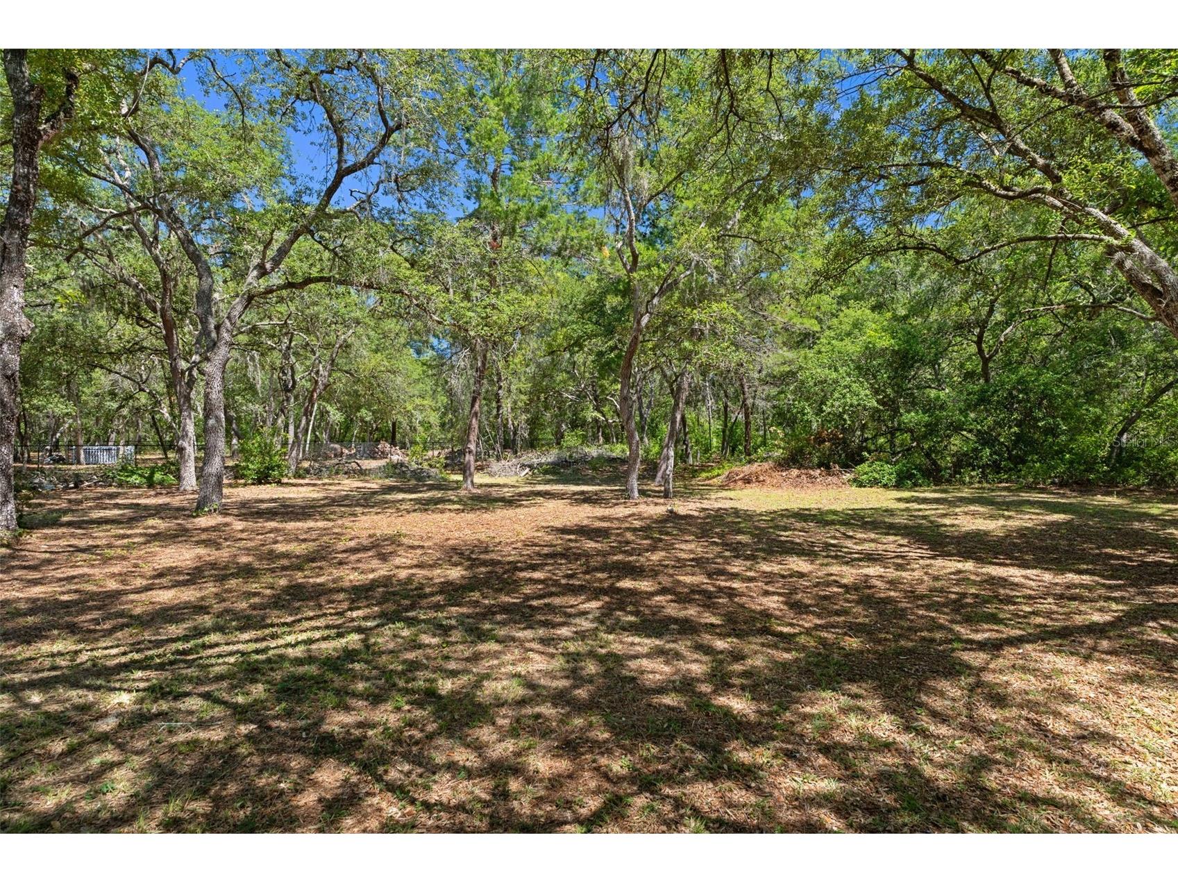 1761 E Cleveland Street Hernando FL 34442 W7885903 image41