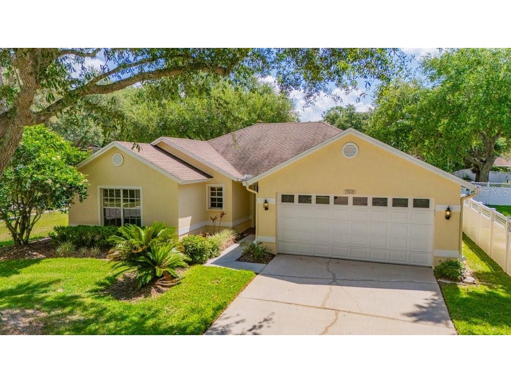 17610 Esprit Drive Tampa FL 33647 TB8508060 image2