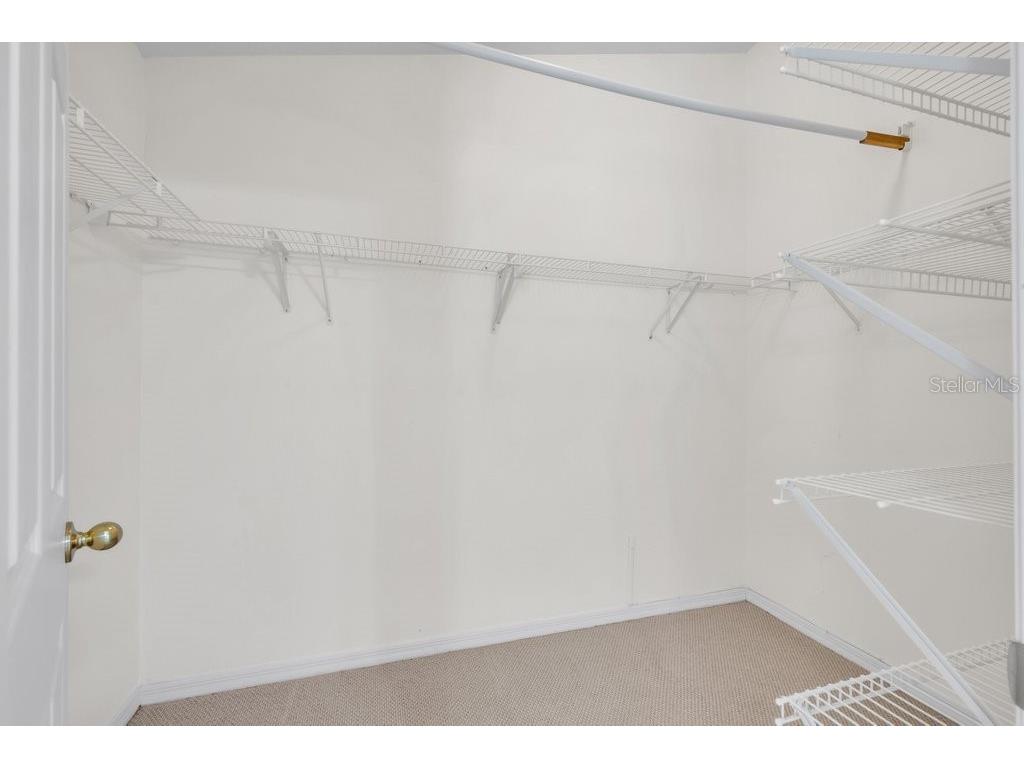 17610 Esprit Drive Tampa FL 33647 TB8508060 image20
