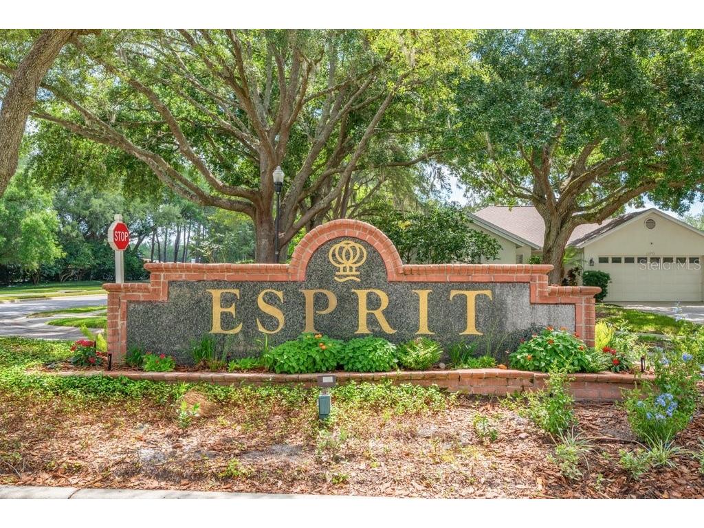 17610 Esprit Drive Tampa FL 33647 TB8508060 image47