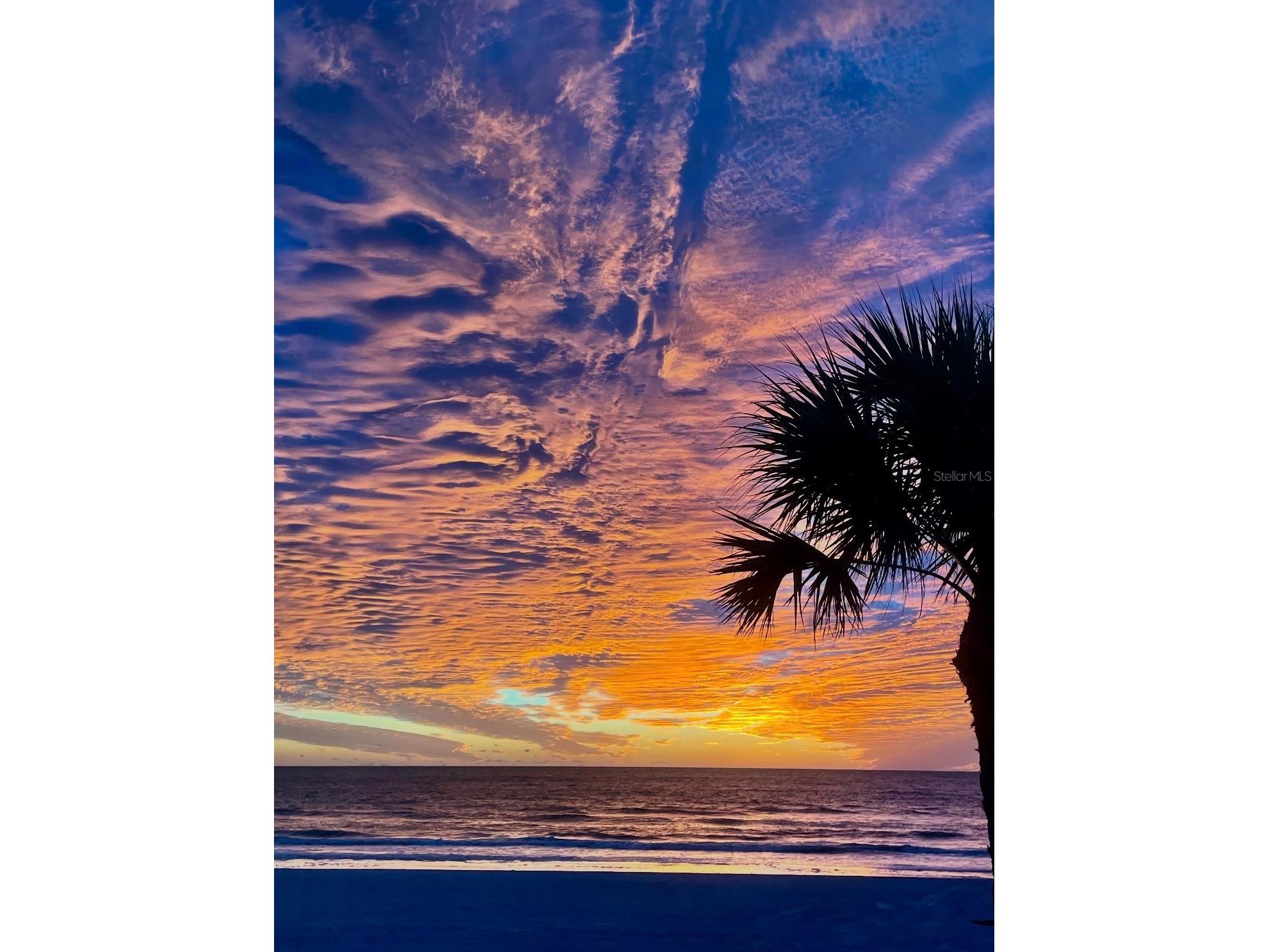 17610 Lee Avenue Redington Shores FL 33708 TB8489690 image3